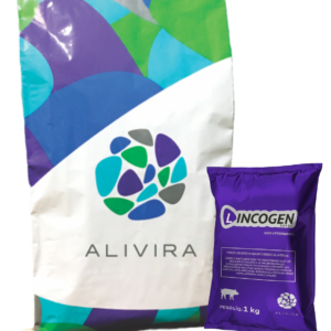 Lincogen