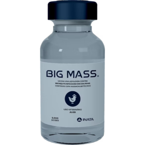 BIG MASS®