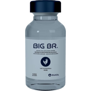 BIG BR®